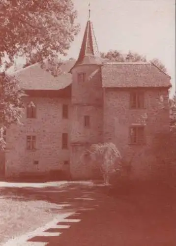 Schweiz - Schweiz - Seengen, Schloss Hallwyl - vorderes Haus - 1996