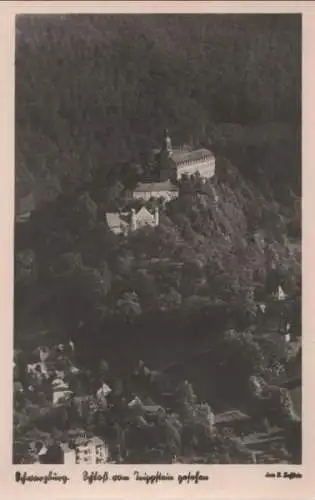 Schwarzburg - Schloß vom Trippstein gesehen - 1954