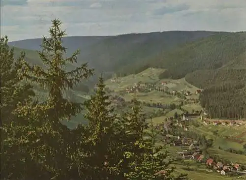 Baiersbronn-Tonbach - von oben