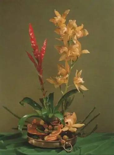 Cymbidienrispe Arrangement