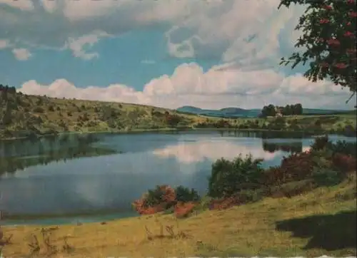 Weinfelder Maar - bei Daun