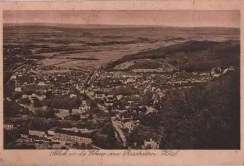 Bodetal - Blick in die Ebene vom Rosstrappen-Hotel - ca. 1935