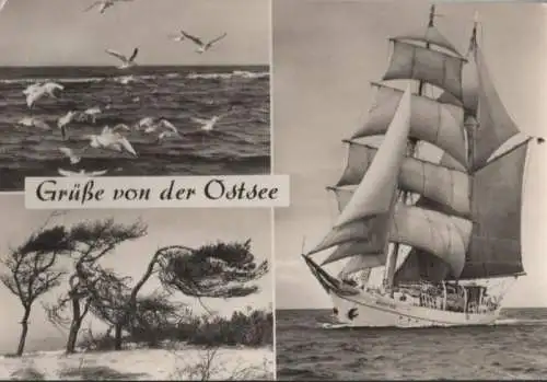 Ostsee - mit Segelschiff Wilhelm Pieck - ca. 1975