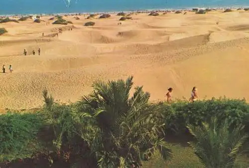 Spanien - Maspalomas - Spanien - Dunas