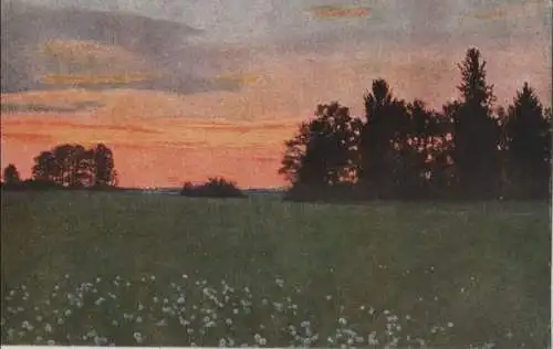 Landschaft Wiese bei Sonnenuntrgang