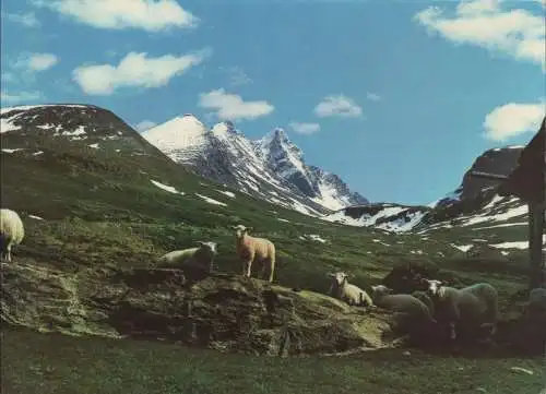 Norwegen - Sognefjord - Norwegen - Jotunheimen