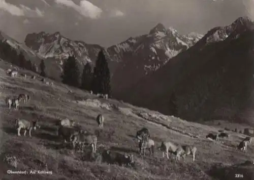 Oberstdorf - Am Kühberg - 1963