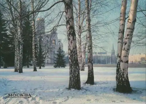 Russland - Moskau - Russland - Park im Winter