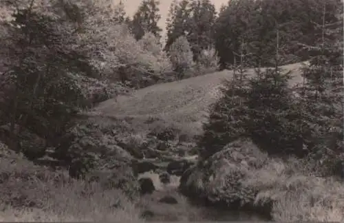 Schmiedefeld - Im unteren Vessertal - 1974