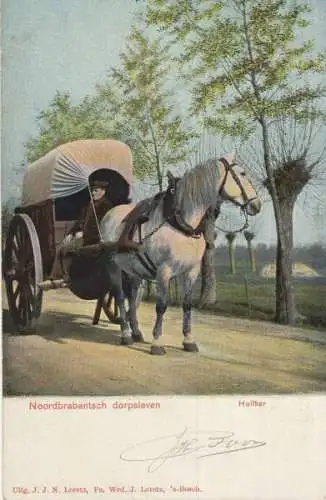 Niederlande - Noord-Brabant - Niederlande - Huifkar