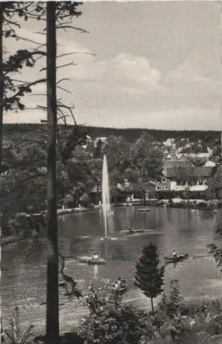 Braunlage - Der Gondelteich - 1961