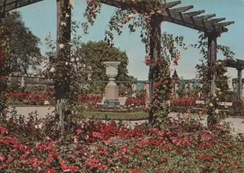 Mainau - Rosengarten - ca. 1975