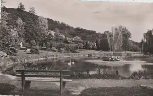 Oberkirch Renchtal - Stadtgarten - ca. 1955