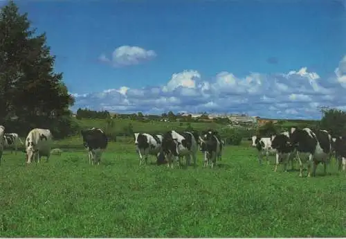 Brasilien - Brasilien (Sonstiges) - Brasilien - Castro - Parana