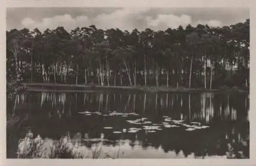 Waren (Müritz) - Wienpitschsee - 1952