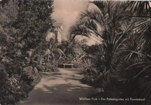 Wörlitz - Palmengarten