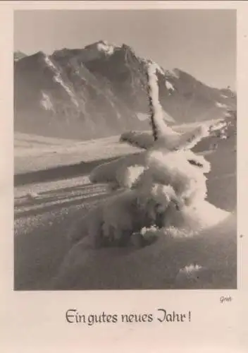 Gutes neues Jahr Baum unter Schnee