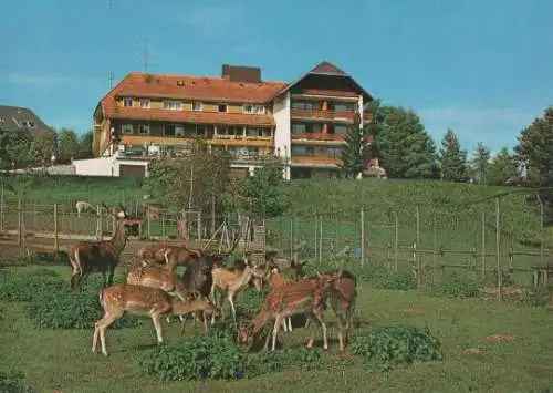 Häusern Schwarzwald - Hotel Waldlust - ca. 1975