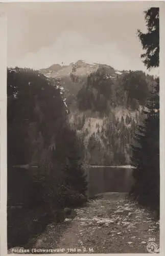 Feldsee - 1934