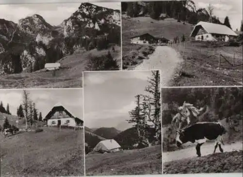 Hochfelln - Bründling-Alm - ca. 1965