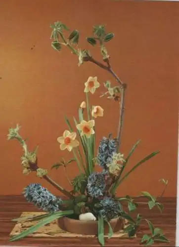 Dichternarzissen Arrangement