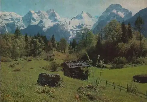 Österreich - Österreich - Lofer - Wald- und Wanderwege - ca. 1985