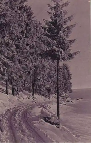 Waldrand im Winter - ca. 1935