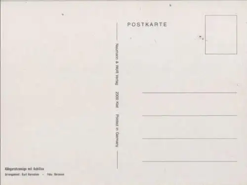 Känguruhzweige Arrangement