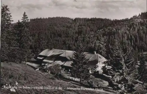 Feldberg / Schwarzwald - Menzenschwander Hütte - 1965