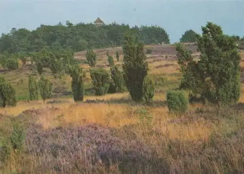 Lüneburger Heide - Wilseder Berg - ca. 1995