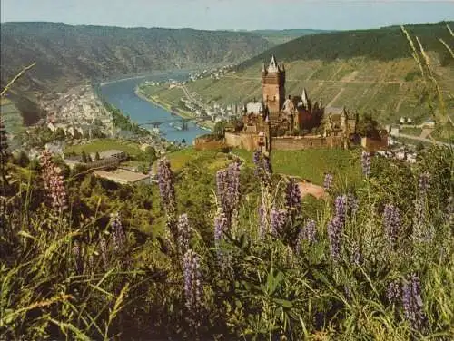 Cochem - Burg und Moseltal