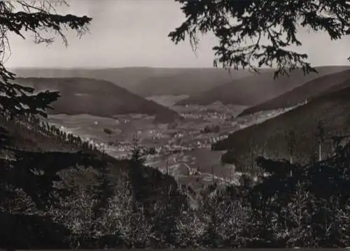 Kniebis - Blick vom Prof.-Endriss-Weg - ca. 1965