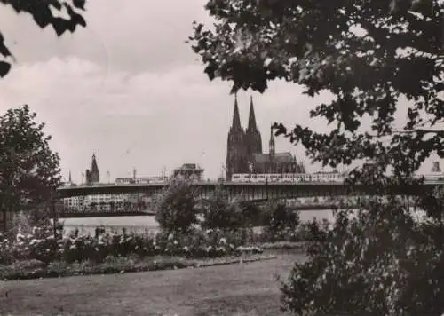 Köln - Blick zum Dom - 1961