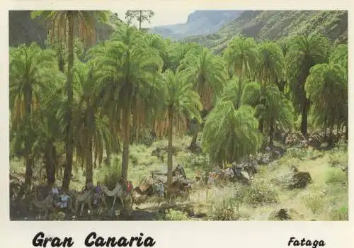 Spanien - Gran Canaria - Spanien - Fataga