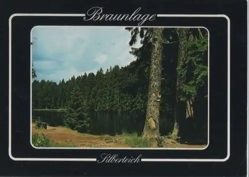 Braunlage - Silberteich