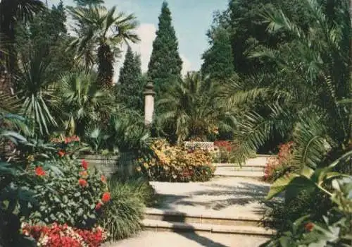 Bad Pyrmont - Palmengarten - 1968