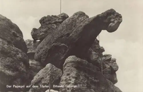 Zittauer Gebirge - Töpfer, Papagei