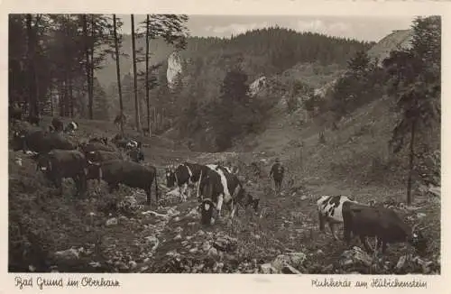 Bad Grund - Hübichenstein