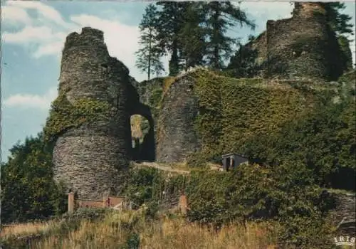 Belgien - Belgien - Ardennen - Entree du Vieux Chateau - ca. 1975