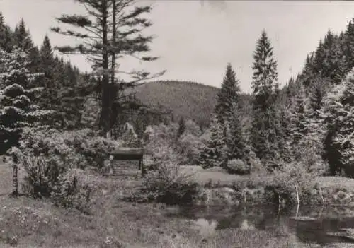 Tümpel im Waldtal - 1980