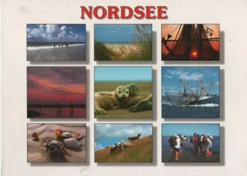 Nordsee - mit 9 Bildern - 2009