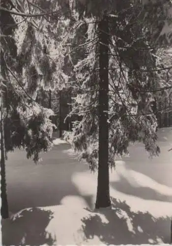 Frohe Weihnachten Winterwald