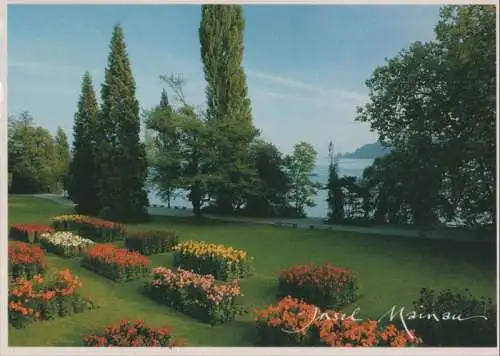 Mainau - Dahlienbeete - ca. 1980