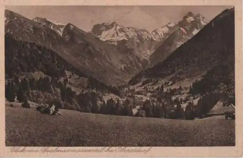 Oberstdorf - Blick ins Spielmannsauer Tal - ca. 1940