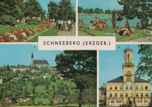 Schneeberg - u.a. Rathaus - ca. 1980