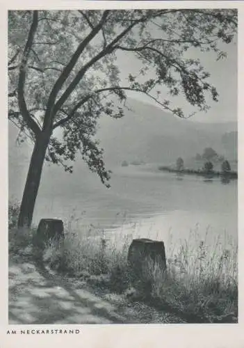 Neckar - Am Neckarstrand - ca. 1950