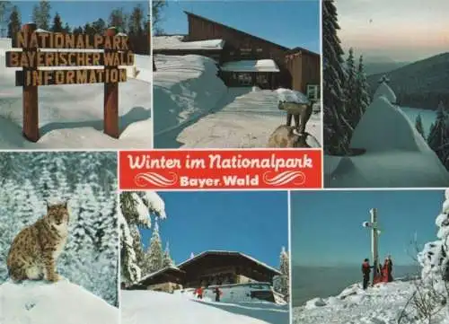 Bayerischer Wald - Winter im Nationalpark - ca. 1995