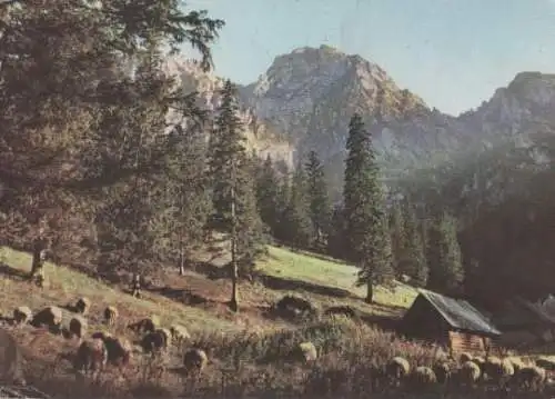 Polen - Polen - Tatry Zachodnie - 1967