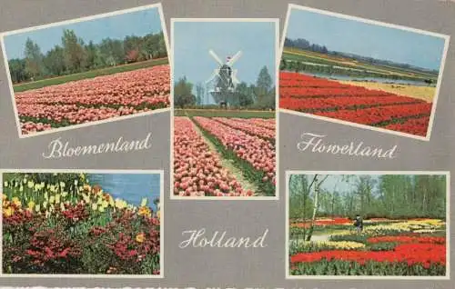 Niederlande - Holland - Niederlande - Bloemenland