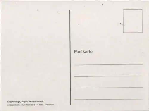 Kirschzweige Arrangement